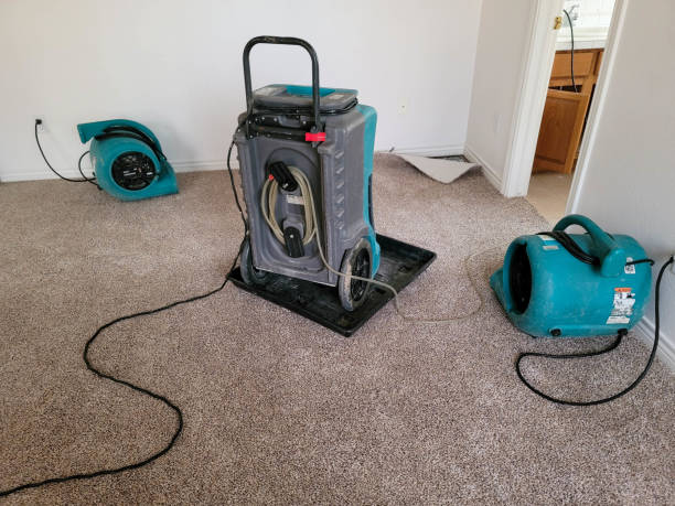 Best Flood restoration services  in Advance, MO