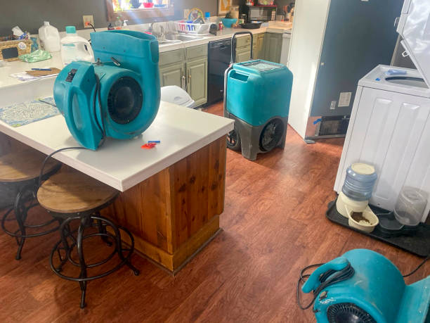 Reliable Advance, MO Water damage restoration Solutions