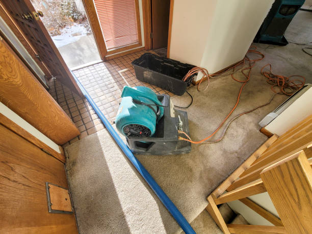 Best Flood damage cleanup  in Advance, MO