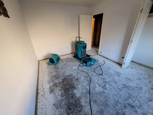 Best Sewage cleanup and water damage restoration  in Advance, MO