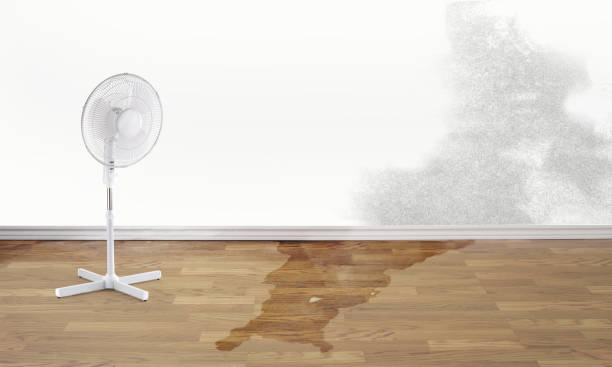 Carpet water damage restoration in Advance, MO