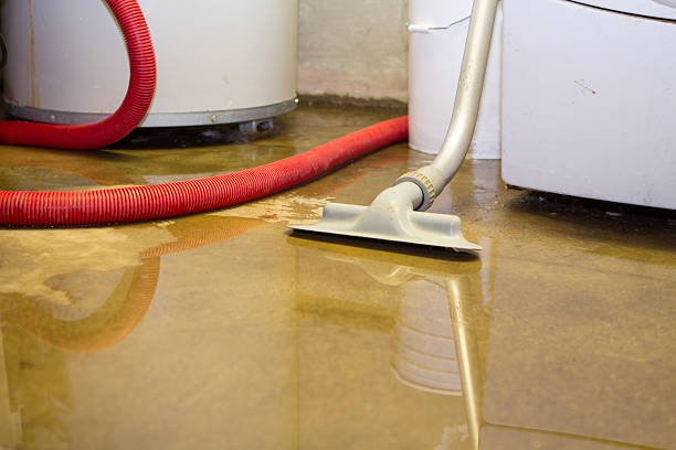 Best Sewage cleanup and water damage restoration  in Advance, MO