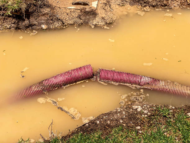 Best Flood damage cleanup  in Advance, MO