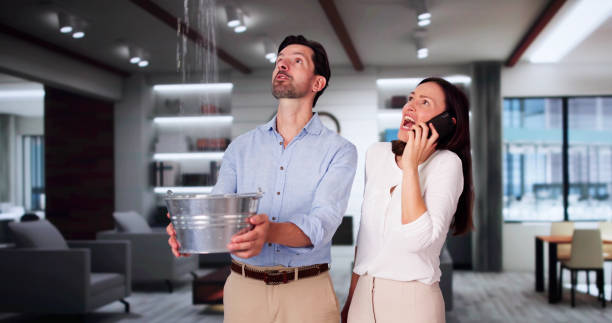 Best Local water damage restoration  in Advance, MO